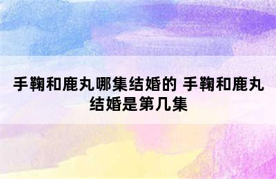 手鞠和鹿丸哪集结婚的 手鞠和鹿丸结婚是第几集